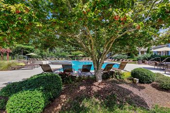 Lullwater at Bass | Relaxing Sundeck with Complimentary Poolside WIFI